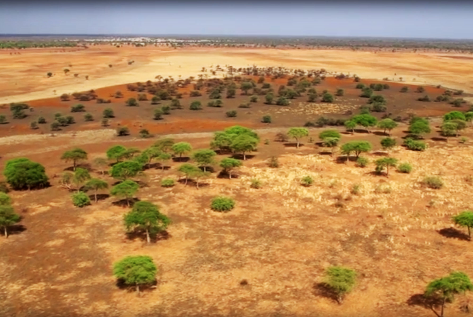 Il Parco Nazionale di Zakouma