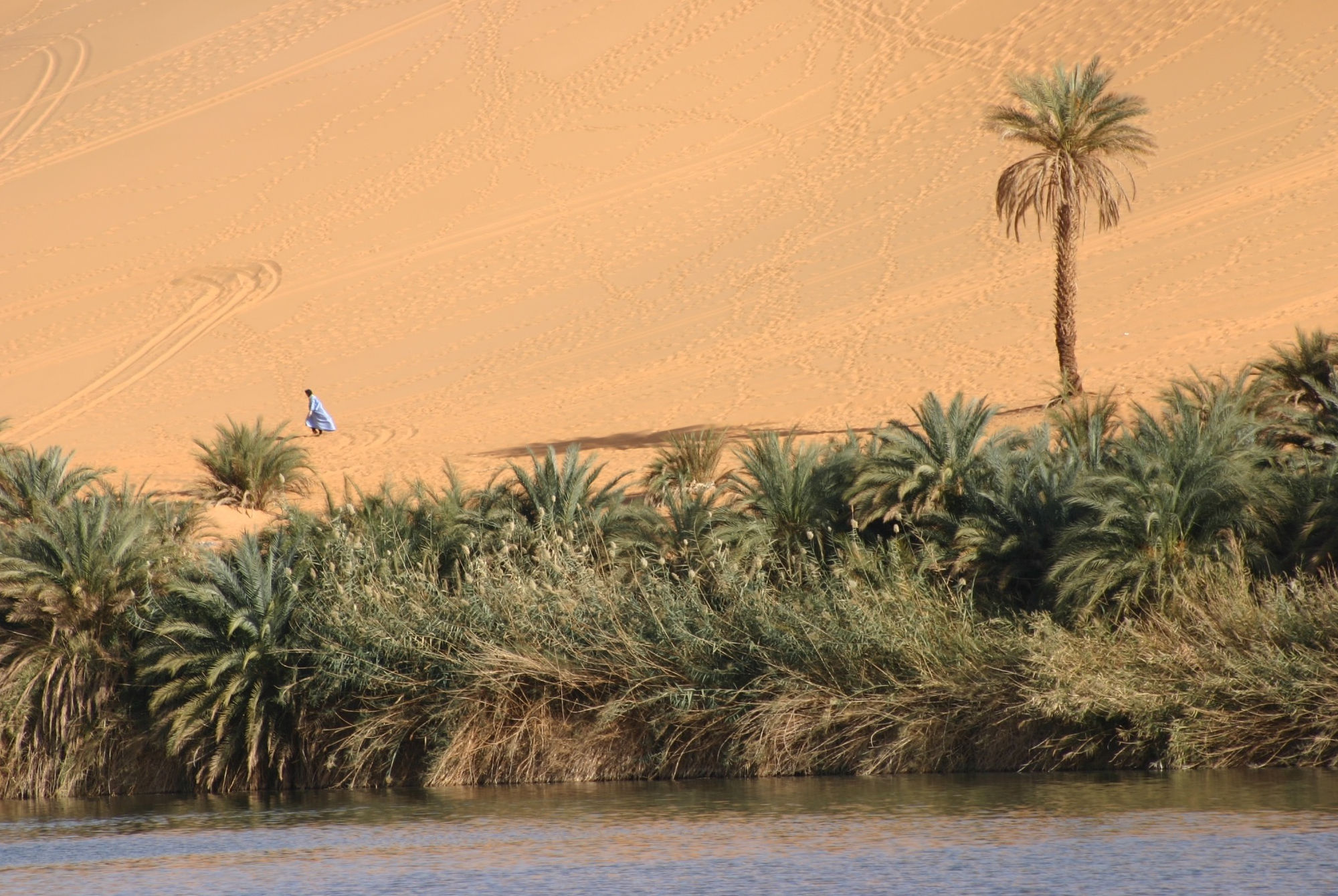 Libia Sud Ovest #4